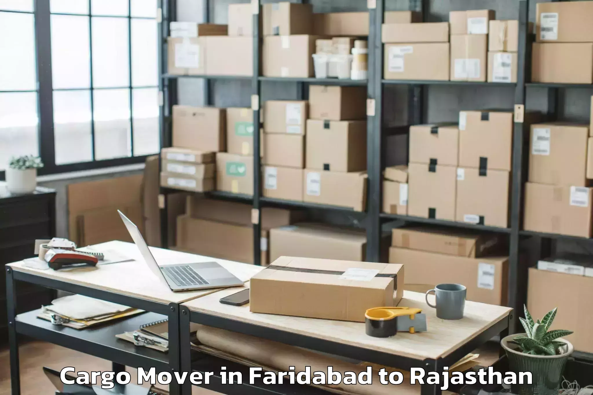 Easy Faridabad to Bisalpur Cargo Mover Booking